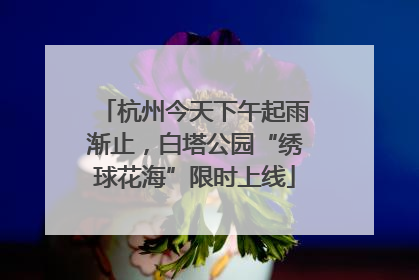杭州今天下午起雨渐止，白塔公园“绣球花海”限时上线