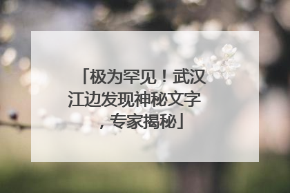 极为罕见！武汉江边发现神秘文字，专家揭秘