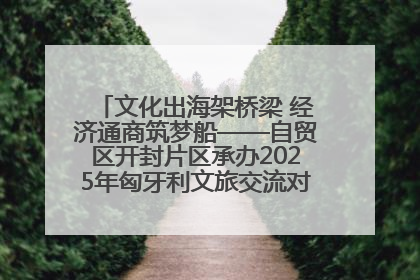 文化出海架桥梁 经济通商筑梦船——自贸区开封片区承办2025年匈牙利文旅交流对接活动专场