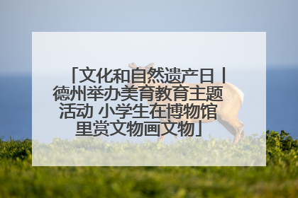文化和自然遗产日丨德州举办美育教育主题活动 小学生在博物馆里赏文物画文物