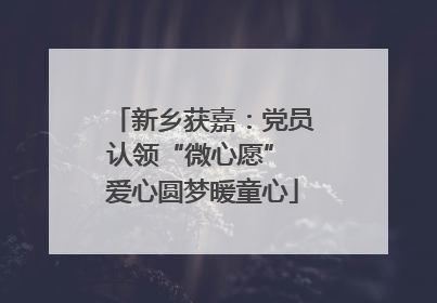 新乡获嘉：党员认领“微心愿” 爱心圆梦暖童心