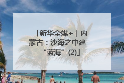 新华全媒+｜内蒙古：沙海之中建“蓝海”(2)
