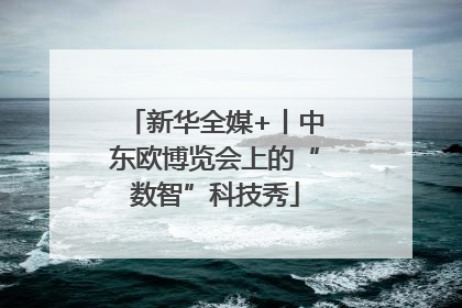 新华全媒+丨中东欧博览会上的“数智”科技秀
