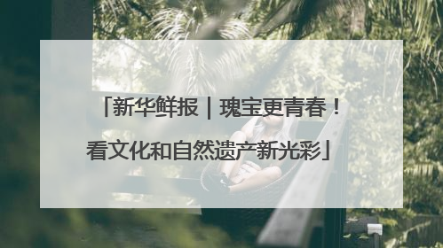 新华鲜报｜瑰宝更青春！看文化和自然遗产新光彩