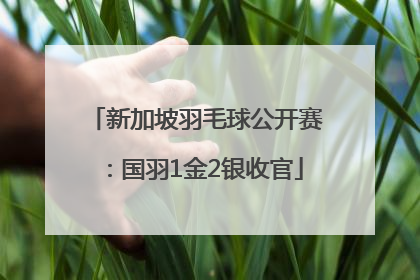 新加坡羽毛球公开赛：国羽1金2银收官