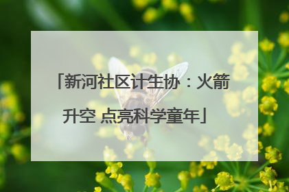 新河社区计生协：火箭升空 点亮科学童年
