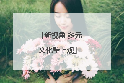新视角 多元文化壁上观
