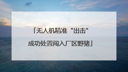 无人机精准“出击” 成功处置闯入厂区野猪