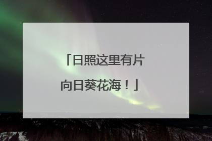 日照这里有片向日葵花海！