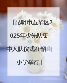 昆明市五华区2025年少先队集中入队仪式在韶山小学举行