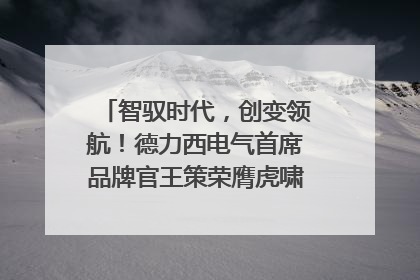 智驭时代，创变领航！德力西电气首席品牌官王策荣膺虎啸奖年度品牌人物