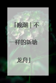晚潮｜不一样的新塘龙舟