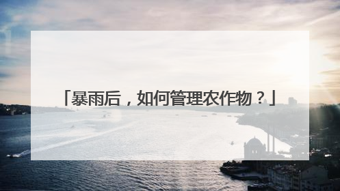 暴雨后，如何管理农作物？