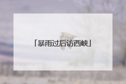 暴雨过后访西峡