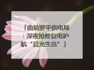 曲靖罗平供电局：深夜抢修复电护航“晨光生意”