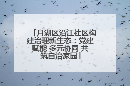 月湖区沿江社区构建治理新生态：党建赋能 多元协同 共筑自治家园