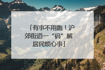 有事不用跑！沪郊街道一“码”解居民烦心事