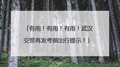 有雨！有雨！有雨！武汉交警再发考前出行提示！