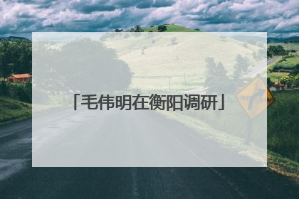 毛伟明在衡阳调研