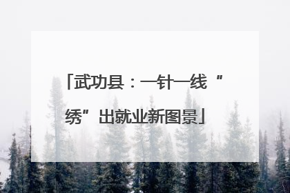 武功县：一针一线“绣”出就业新图景