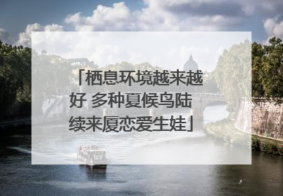 栖息环境越来越好 多种夏候鸟陆续来厦恋爱生娃