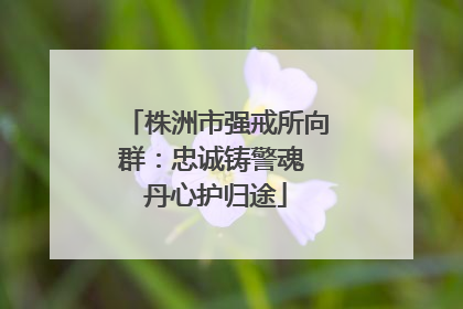 株洲市强戒所向群：忠诚铸警魂 丹心护归途