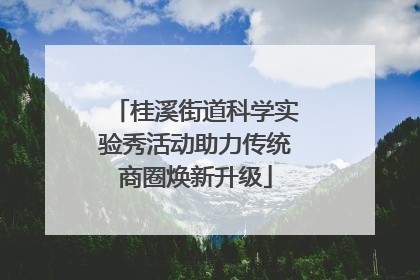 桂溪街道科学实验秀活动助力传统商圈焕新升级