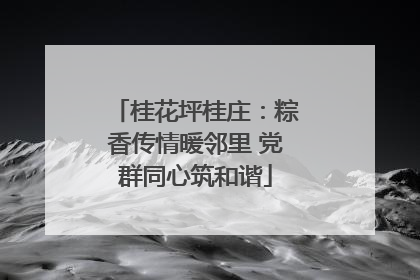 桂花坪桂庄：粽香传情暖邻里 党群同心筑和谐