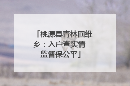 桃源县青林回维乡：入户查实情 监督保公平