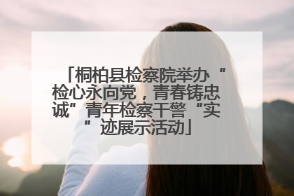 桐柏县检察院举办“检心永向党，青春铸忠诚”青年检察干警“实”迹展示活动