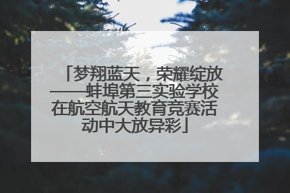 梦翔蓝天，荣耀绽放——蚌埠第三实验学校在航空航天教育竞赛活动中大放异彩