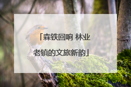 森铁回响 林业老镇的文旅新韵