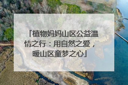 植物妈妈山区公益温情之行：用自然之爱，暖山区童梦之心