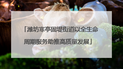 潍坊寒亭固堤街道以全生命周期服务助推高质量发展