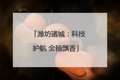 潍坊诸城：科技护航 金穗飘香