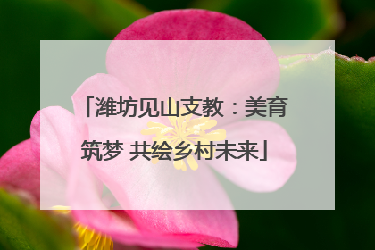 潍坊见山支教：美育筑梦 共绘乡村未来