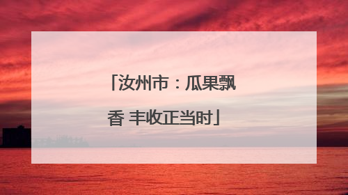 汝州市：瓜果飘香 丰收正当时