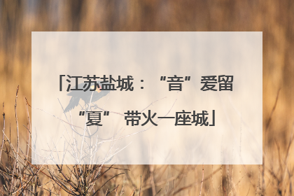 江苏盐城：“音”爱留“夏” 带火一座城