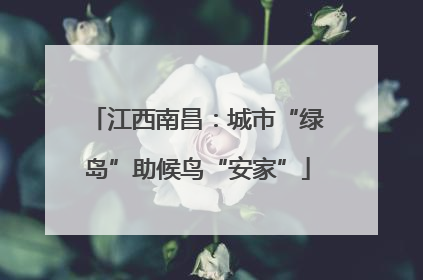 江西南昌：城市“绿岛”助候鸟“安家”
