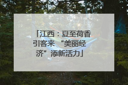 江西：夏至荷香引客来 “美丽经济”添新活力