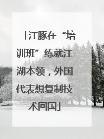江豚在“培训班”练就江湖本领，外国代表想复制技术回国