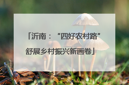 沂南：“四好农村路”舒展乡村振兴新画卷