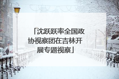 沈跃跃率全国政协视察团在吉林开展专题视察