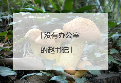 没有办公室的赵书记