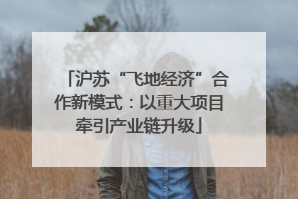 沪苏“飞地经济”合作新模式：以重大项目牵引产业链升级
