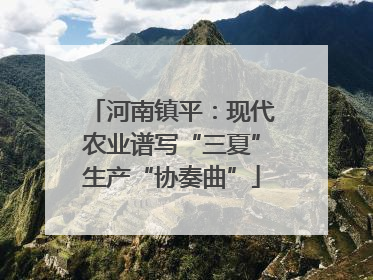 河南镇平：现代农业谱写“三夏”生产“协奏曲”