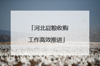 河北夏粮收购工作高效推进
