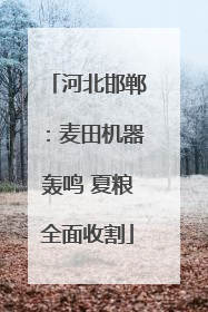 河北邯郸：麦田机器轰鸣 夏粮全面收割