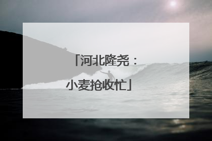 河北隆尧：小麦抢收忙
