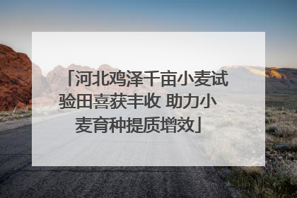 河北鸡泽千亩小麦试验田喜获丰收 助力小麦育种提质增效